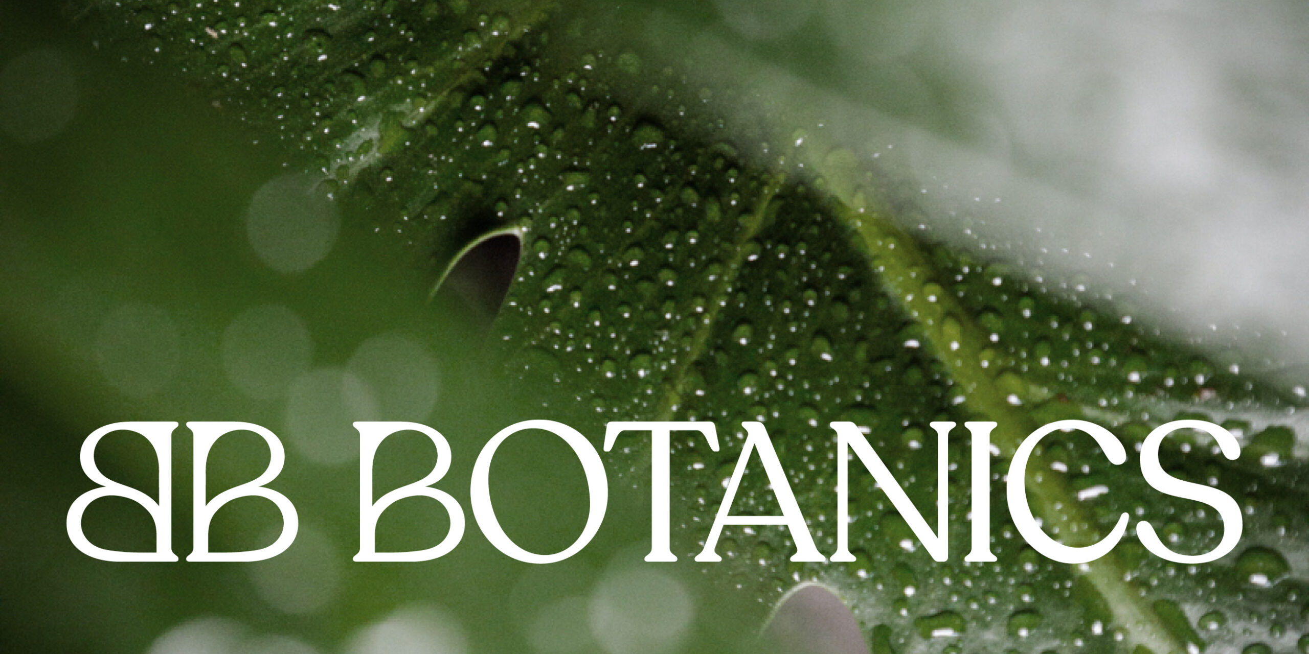 Bb Botanics